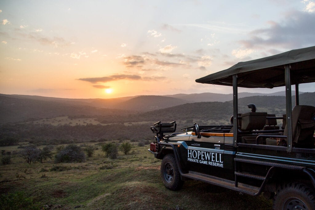 Addo Elephant National Park Safari Guide — Everything You Need to Know in 2026 - Addo Elephant National Park